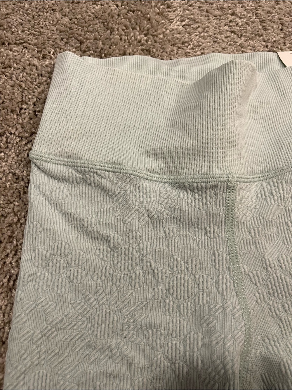 aerie Light Mint Green Textured Bike Shorts